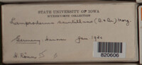 Image Associated With the Occurence